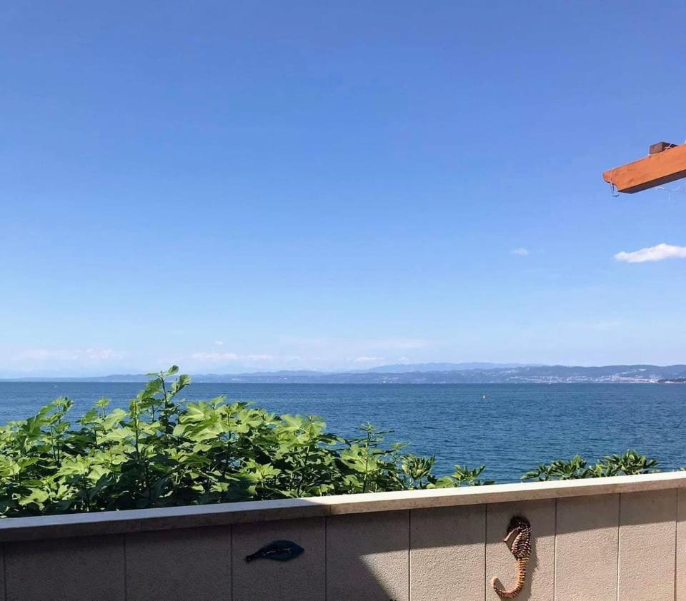 Apartmaji Pri Bosi Nogi イゾラ エクステリア 写真